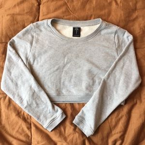 Electric and Rose Horizon cropped sweatshirt